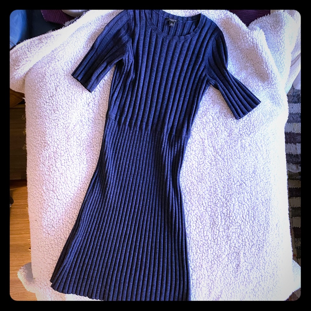 Ann Taylor Navy Sweater Dress